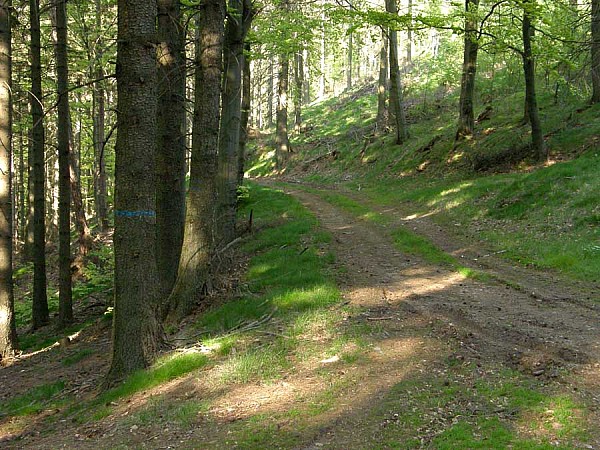 Ściezka wokół Trójgarba