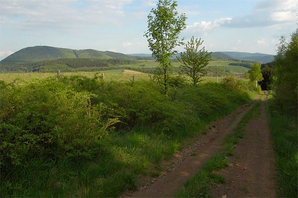 Fragment trasy Bike Maratonu - zjazd z masywu Trójgarba