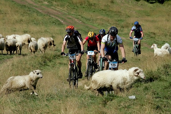 źródło: www.transcarpatia.pl