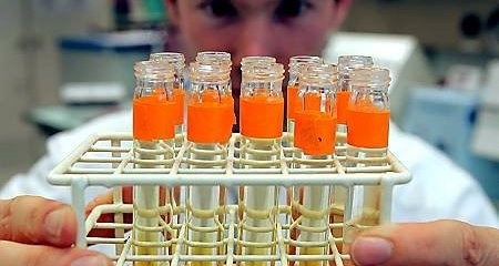 Próbki przeznaczone do badania na obecność środków dopingujących (fot. Fabrice Coffrini / AP)