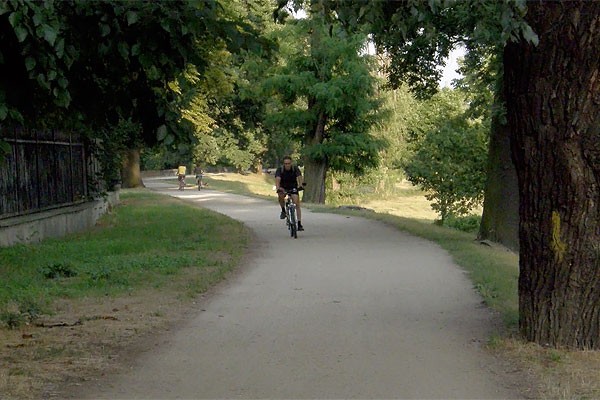 Jeden z wrocławskich wałów w okolicach ZOO