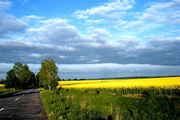 Krynki, w których odbędzie się najblizszy maraton