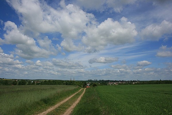 Fot. PTR Dojlidy (Maniek i Madzia)