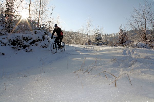 Zimowy wypad w lasy Trójgarbu