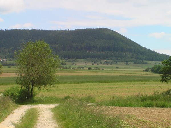 Południowy kraniec Masywu Śnieżnika