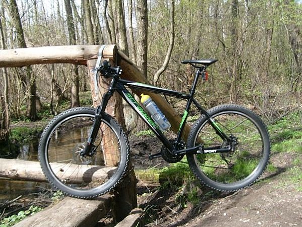 pogromca krawężników