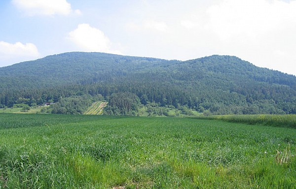 Slęża widziana ze strony Zebrzydowa