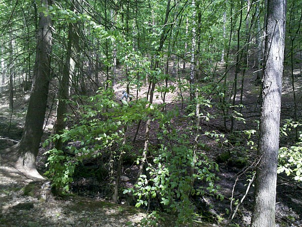 Zdjęcie z aktualnej trasy maratonu