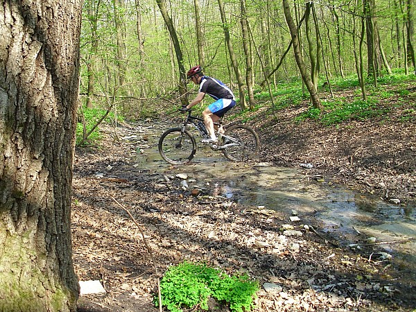 Fot: Łukasz Matysek i Jan Michalis