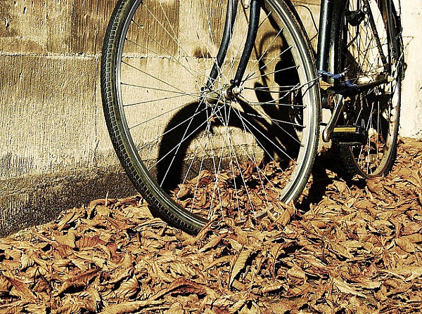 Fot. Joanna McCunn, Flickr.com, CC license