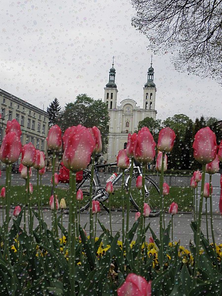 Sanktuarium w Pszowie