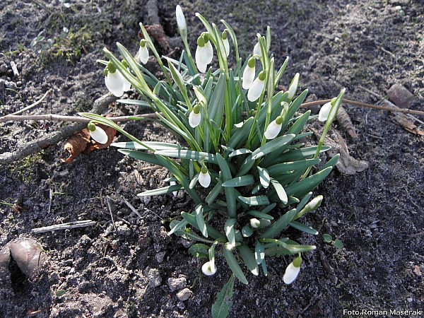 I juz widac odznaki wiosny.