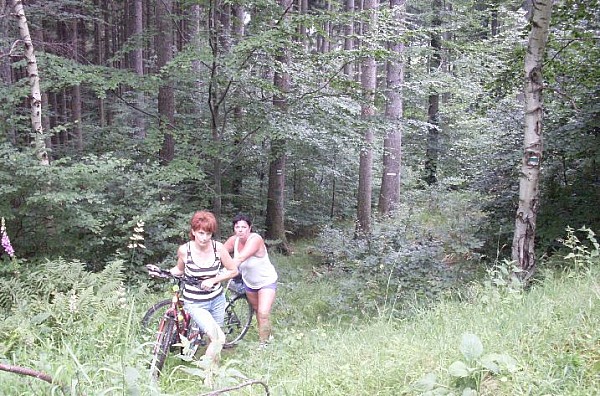 Zdobywanie Borówkowej