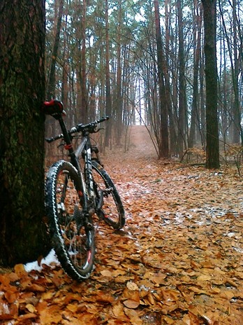 Wigilijny wypad w teren :)