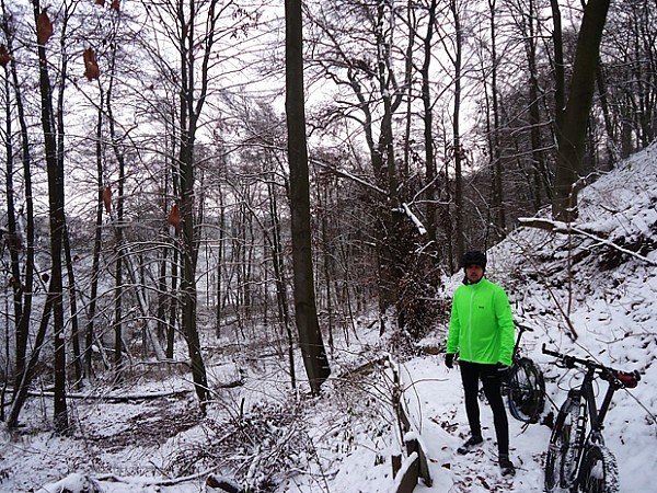 Rezerwat Buków w Sierakowskim Parku Krajobrazowym