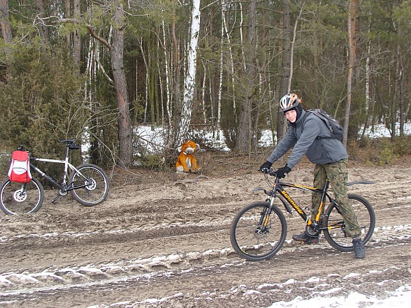 Jedziemy dalej. Miś pilnuje lasu!