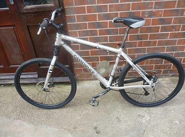 Cannondale Bad Boy Super Fatty Ultra 8