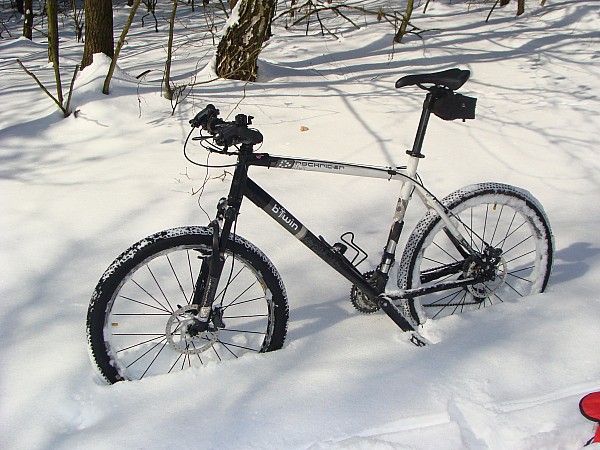 Wiosna, wiosna, wiosna ach to TY. Las okolice Turku 2013.03.24