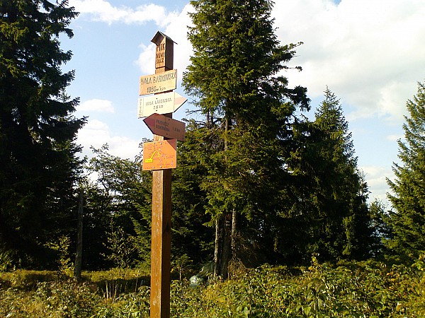 mtb szlakami beskidu niskiego i sadeckiego 15.08.2013r./hala barnowska dalej krecimy w kierunku piwnicznej i rytra