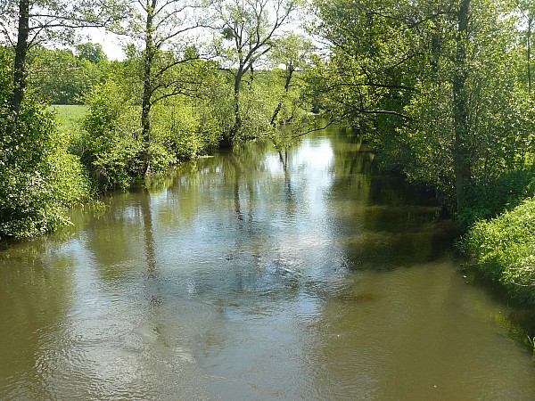 rz. Wierzyca