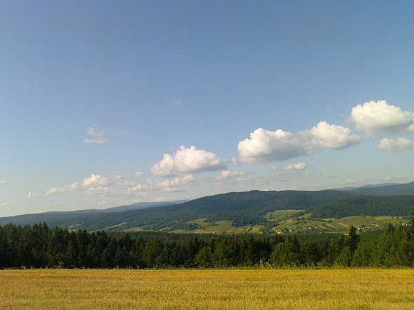 mtb szlakami beskidu niskiego i sadeckiego 15.08.2013r./ w tle panorama beskidy sadeckiego okolice muszyny widok ze szlaku czerwonego w kierunku piwnicznej