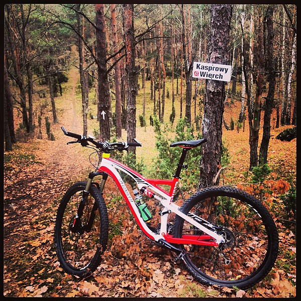 Mój rumak na mojej pobliskiej trasie MTB