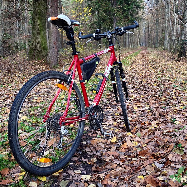 Mój KTM Life Sprint 2010