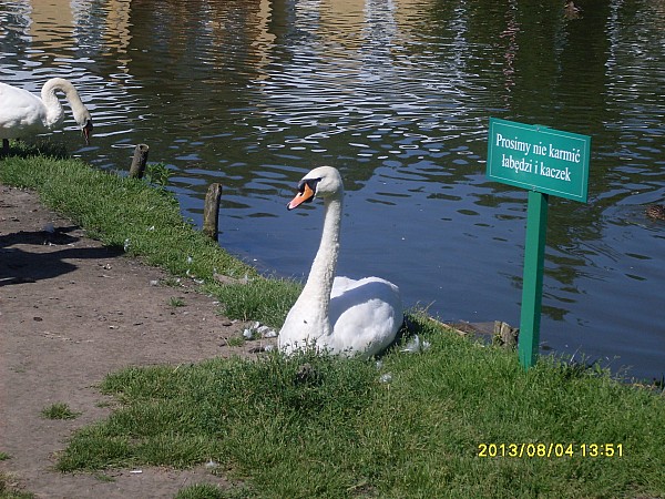 NAŁĘCZOWSKIE UZDROWISKO
