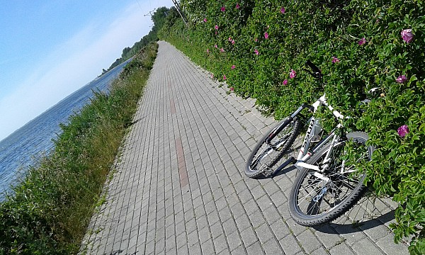 Półwysep