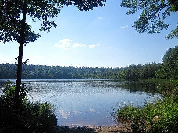 Jezioro Czarne (gmina Potęgowo)