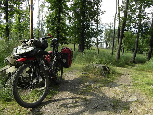 W Karpatach Małych.