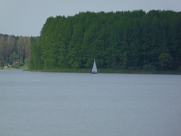 Przeczyce