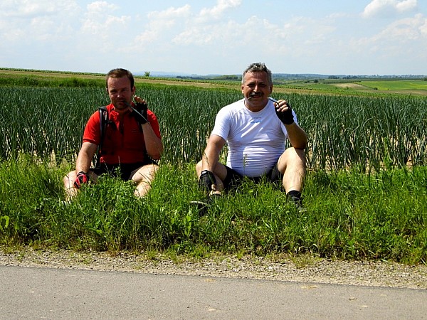 gdzieś niedaleko Sandomierza