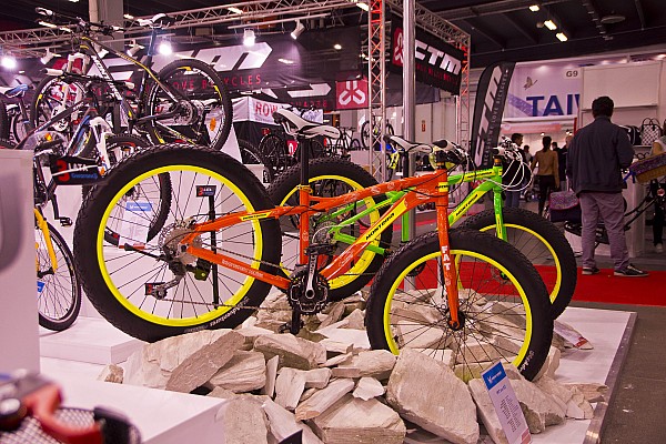 Zdjęcia z poprzedniej edycji