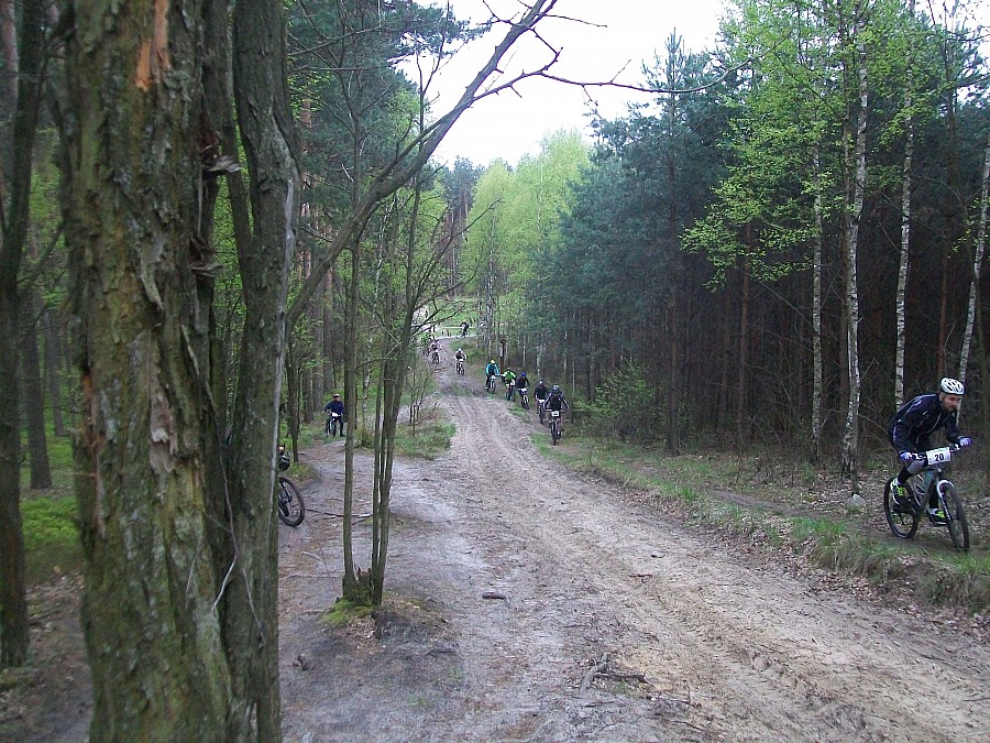 1 maj XII Stalowowolski cross