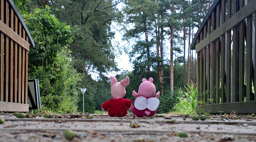 Daleka droga jeszcze przed Nami...