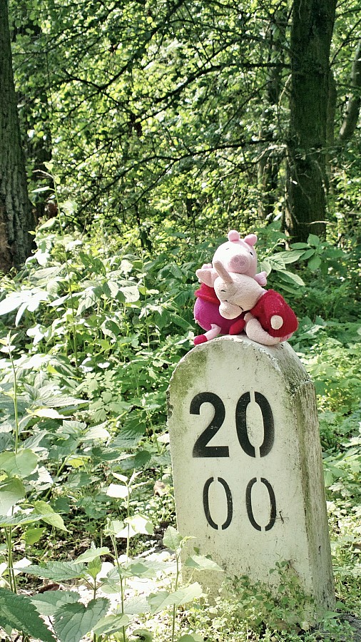 To już koniec..., ale to dopiero połowa trasy, kto za Nas wróci?