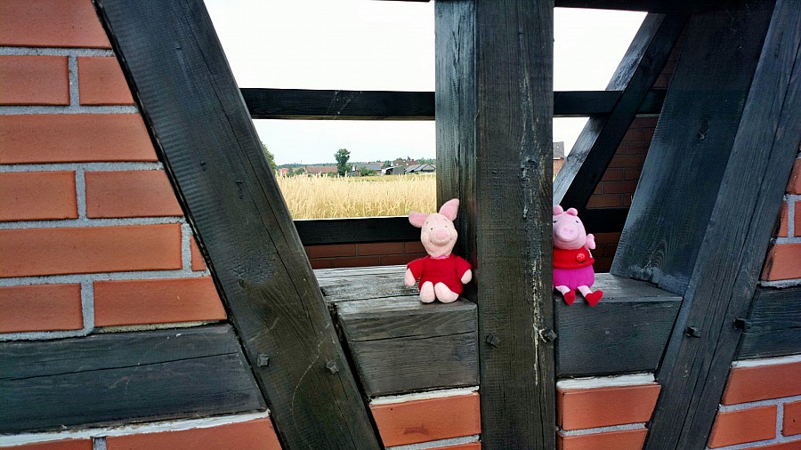 Ucieczka przed żarem.