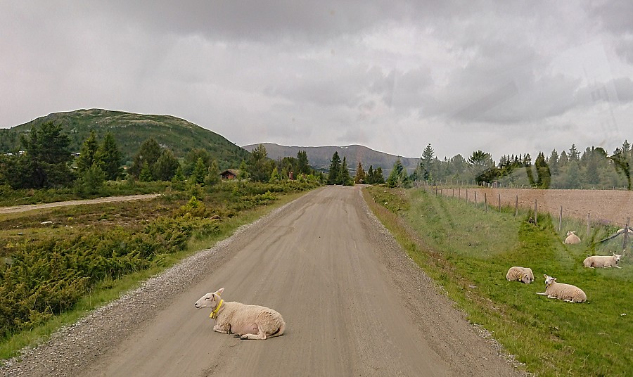 Droga do naszego noclegu.