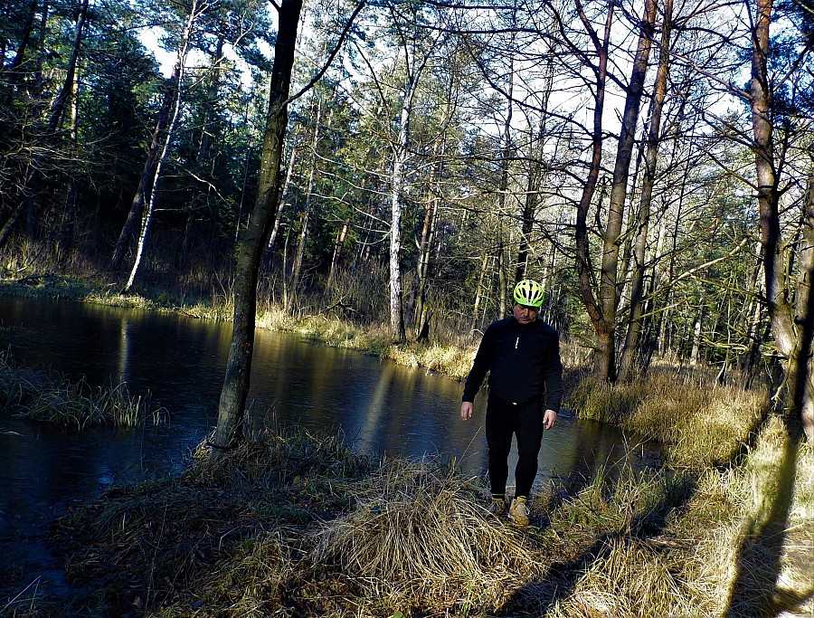 Początek rzeki Dobrawa /Puszcza Sandomierska/