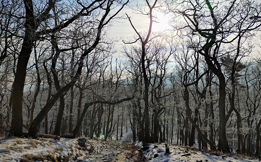 Zimą Masyw Ślęży też jest bardzo ładny!