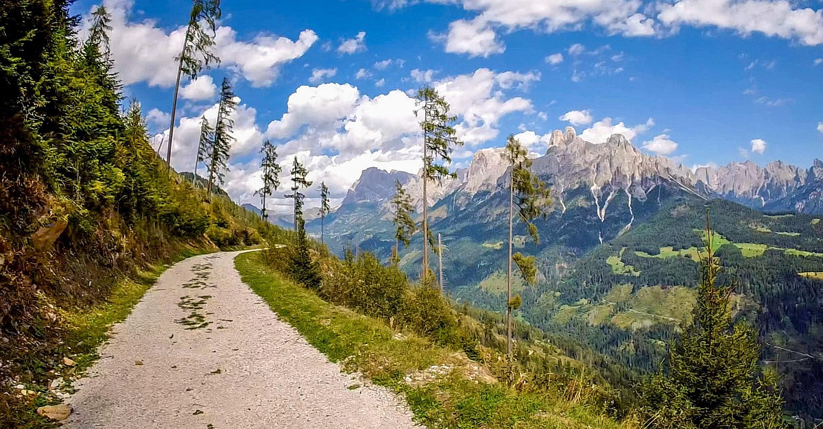 Legendarny, stromy podjazd wiodący do doliny Bedole (782 m, 9,9%, 7,89 km)